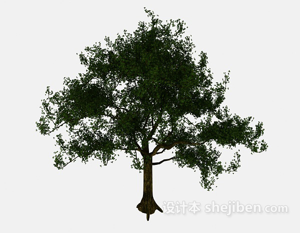 公园大树3d模型下载