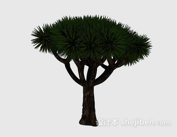 免费观赏型松树3d模型下载