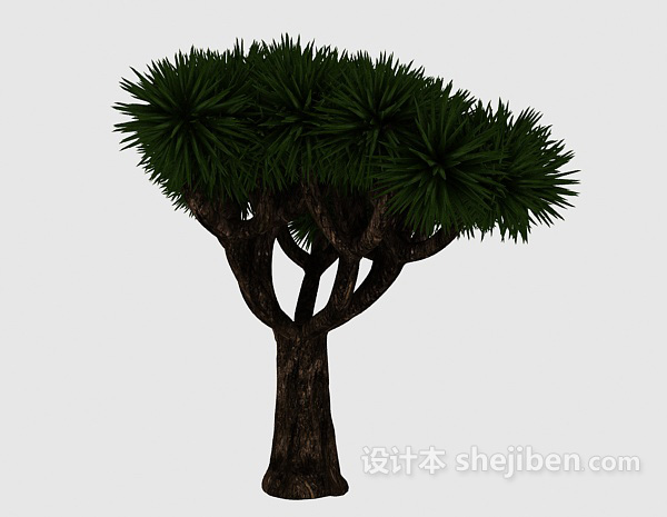 现代风格观赏型松树3d模型下载