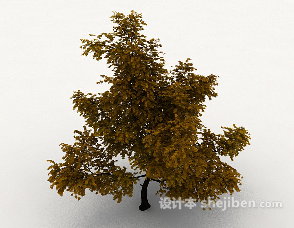 室外植物枫树3d模型下载