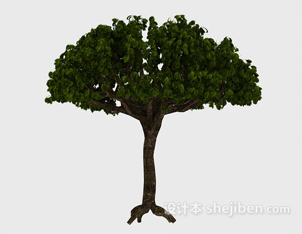 免费绿色扇形树3d模型下载