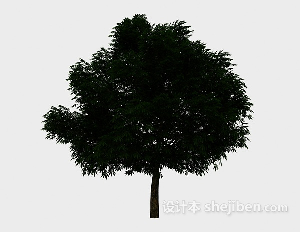 设计本庭院大树3d模型下载