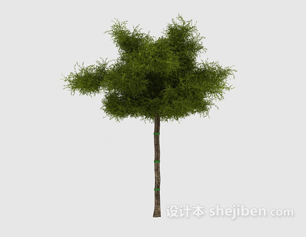 免费简单常见绿色树苗3d模型下载