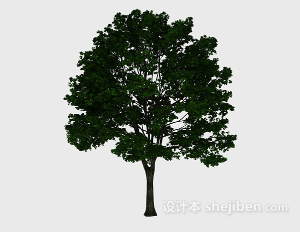 设计本茂密树3d模型下载