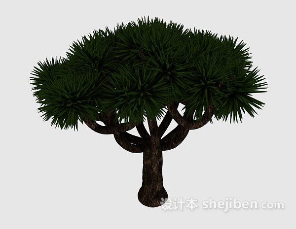观赏型松树3d模型下载