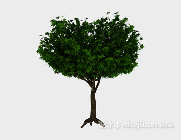 设计本翠绿色大树3d模型下载
