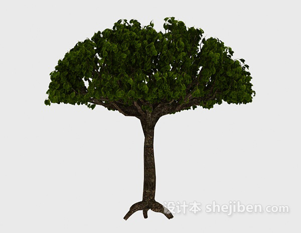 设计本绿色扇形树3d模型下载