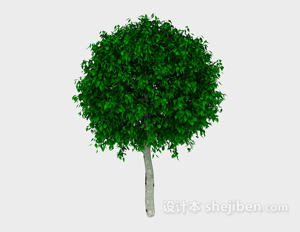 设计本圆形绿树3d模型下载