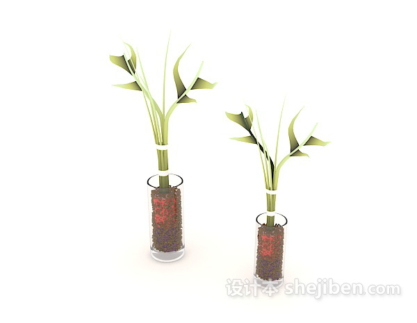 免费室内植物摆设3d模型下载