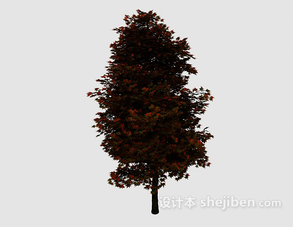 秋树3d模型下载