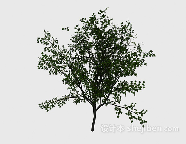 普通绿色室外植物3d模型下载