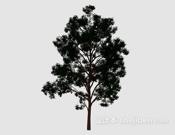 免费森林大树3d模型下载