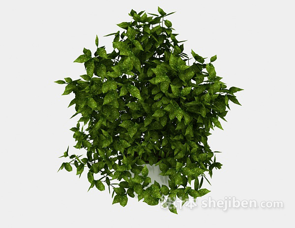 免费现代绿色室内盆栽3d模型下载
