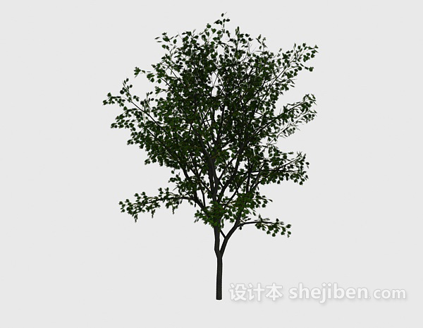 现代风格普通绿色室外植物3d模型下载