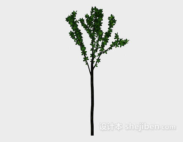 现代风格室外小树3d模型下载