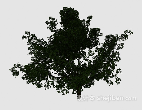 庭院大绿树3d模型下载