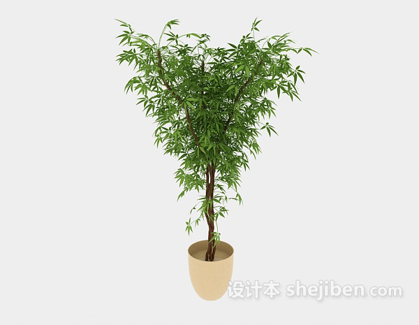 环保盆栽植物3d模型下载
