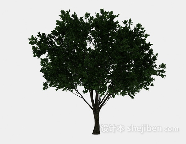 现代风格常青绿树3d模型下载