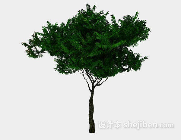 设计本室外绿色植树3d模型下载