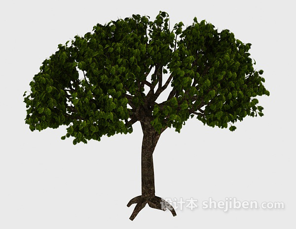 绿色扇形树3d模型下载