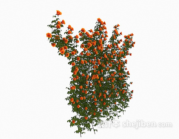 免费室外常见开花植物3d模型下载