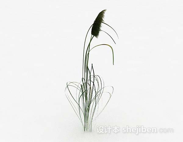 现代风格室外植物3d模型下载