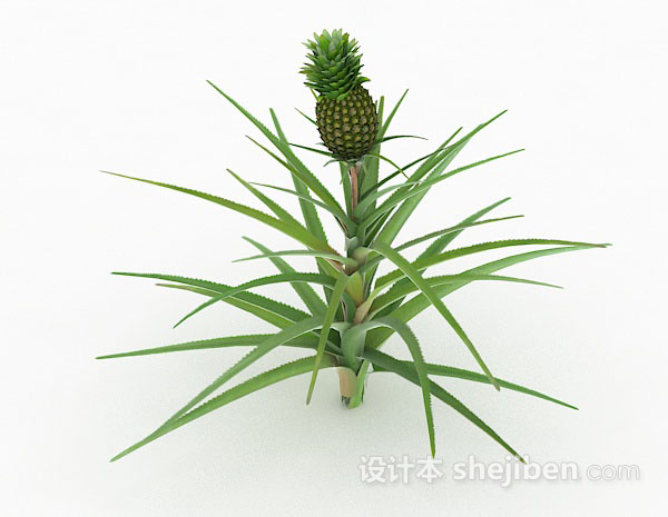 绿色室外植物3d模型下载