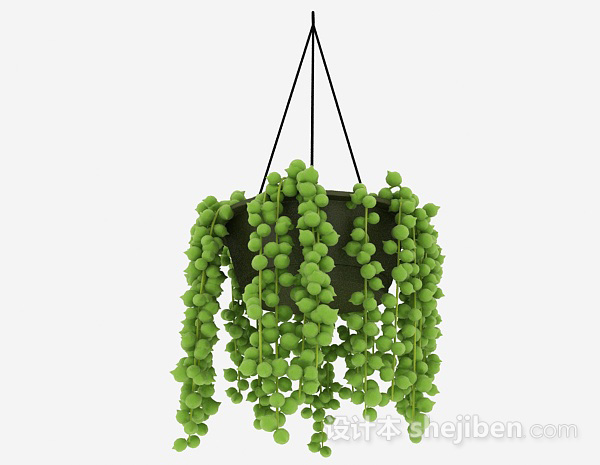 设计本绿色挂篮植物3d模型下载