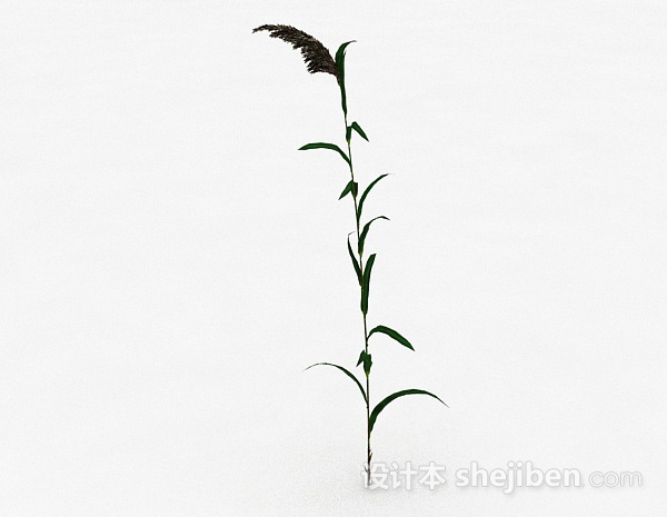 绿色植物3d模型下载