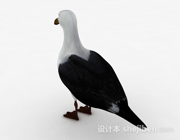 设计本灰白双色鸟类3d模型下载