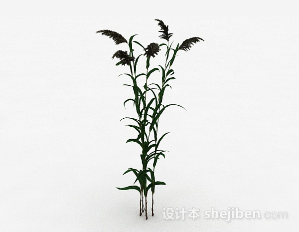 绿色植物3d模型下载