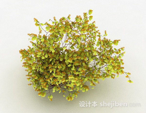 黄色圆形叶子观赏植物3d模型下载