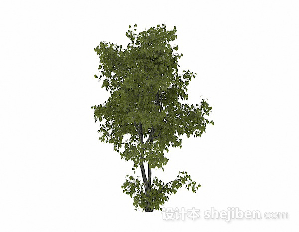 免费椭圆形树叶树木3d模型下载