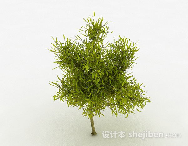 嫩黄色剑型树叶植物3d模型下载