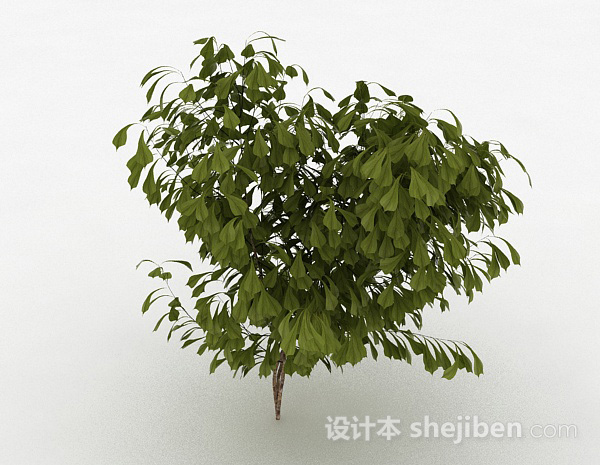 倒卵形树叶灌木树3d模型下载