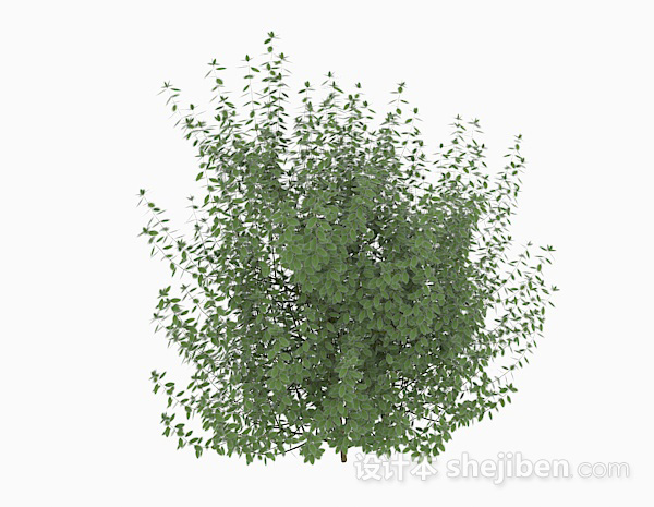 绿色树叶低矮灌木3d模型下载
