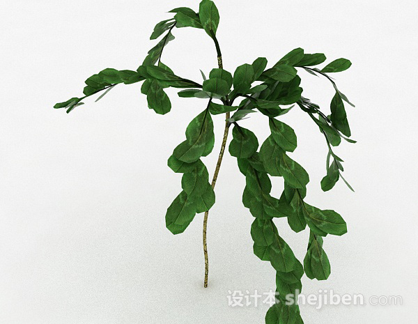 设计本倒卵形树叶灌木植物3d模型下载