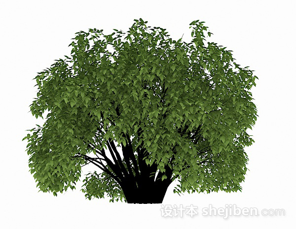 设计本室外绿树3d模型下载