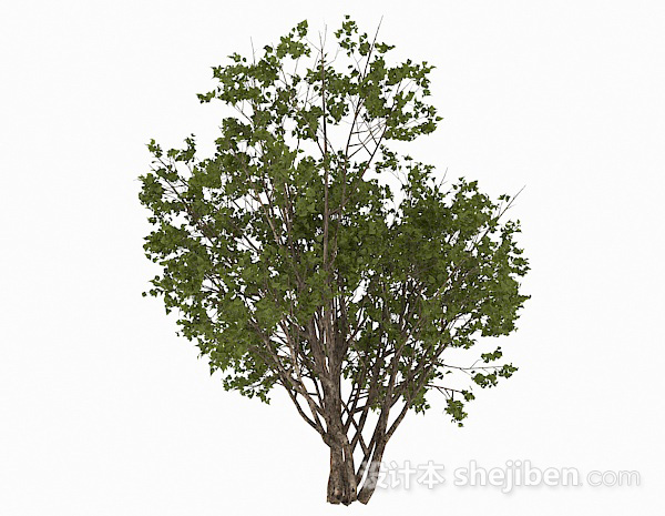 现代风格树丛3d模型下载