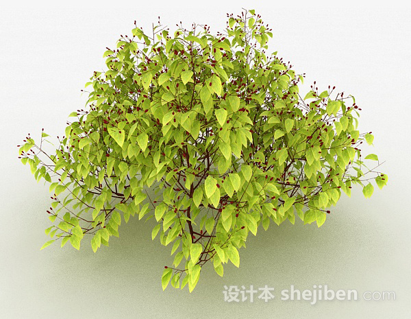 设计本黄色圆形叶子家庭观赏植物3d模型下载