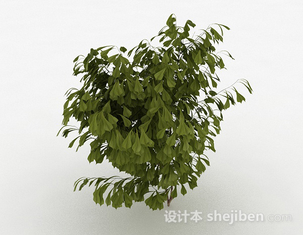 免费倒卵形树叶灌木树3d模型下载