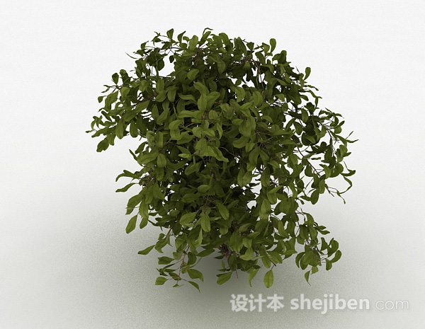 设计本圆形树叶观赏型树木3d模型下载