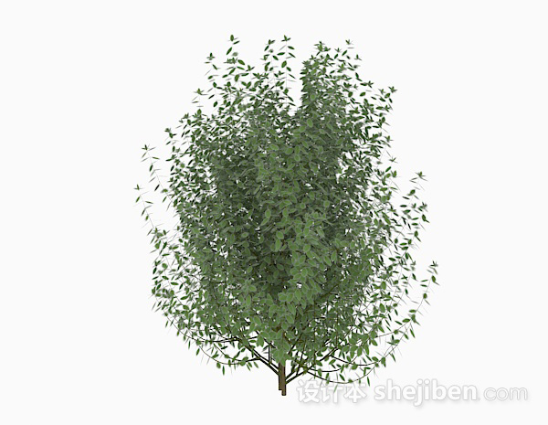 免费绿色树叶低矮灌木3d模型下载
