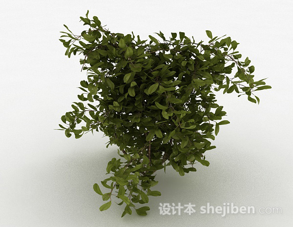 现代风格圆形树叶家庭观赏型树木3d模型下载