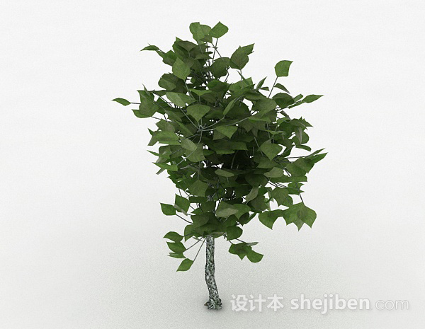 免费绿色树叶观赏植物3d模型下载