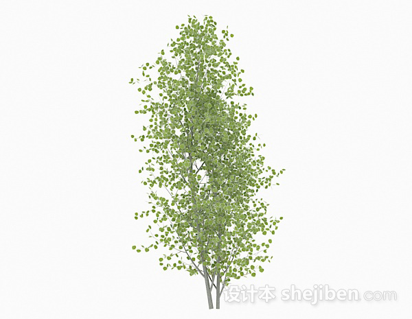 免费椭圆形小树叶树木3d模型下载
