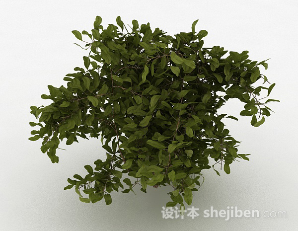 免费绿色圆形树叶观赏型树木3d模型下载