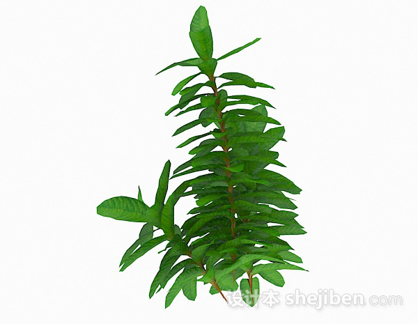 现代风格细长型叶子植物3d模型下载