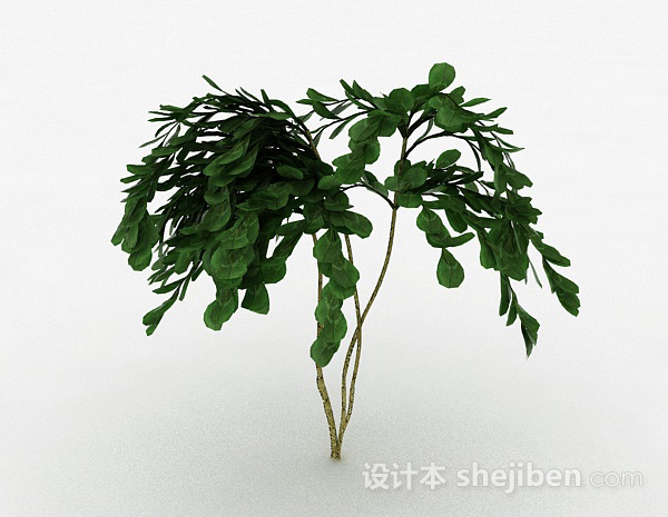 现代风格倒卵形树叶景观植物3d模型下载