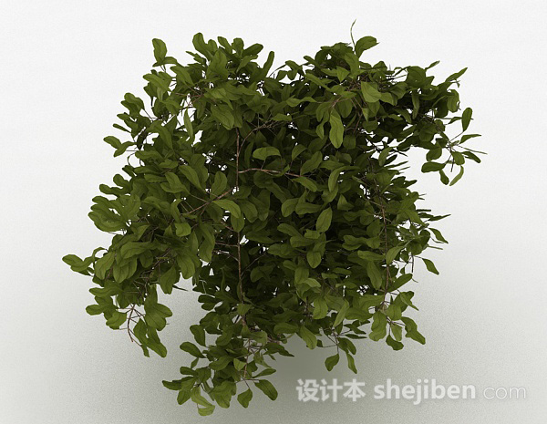 现代风格绿色圆形树叶观赏型树木3d模型下载